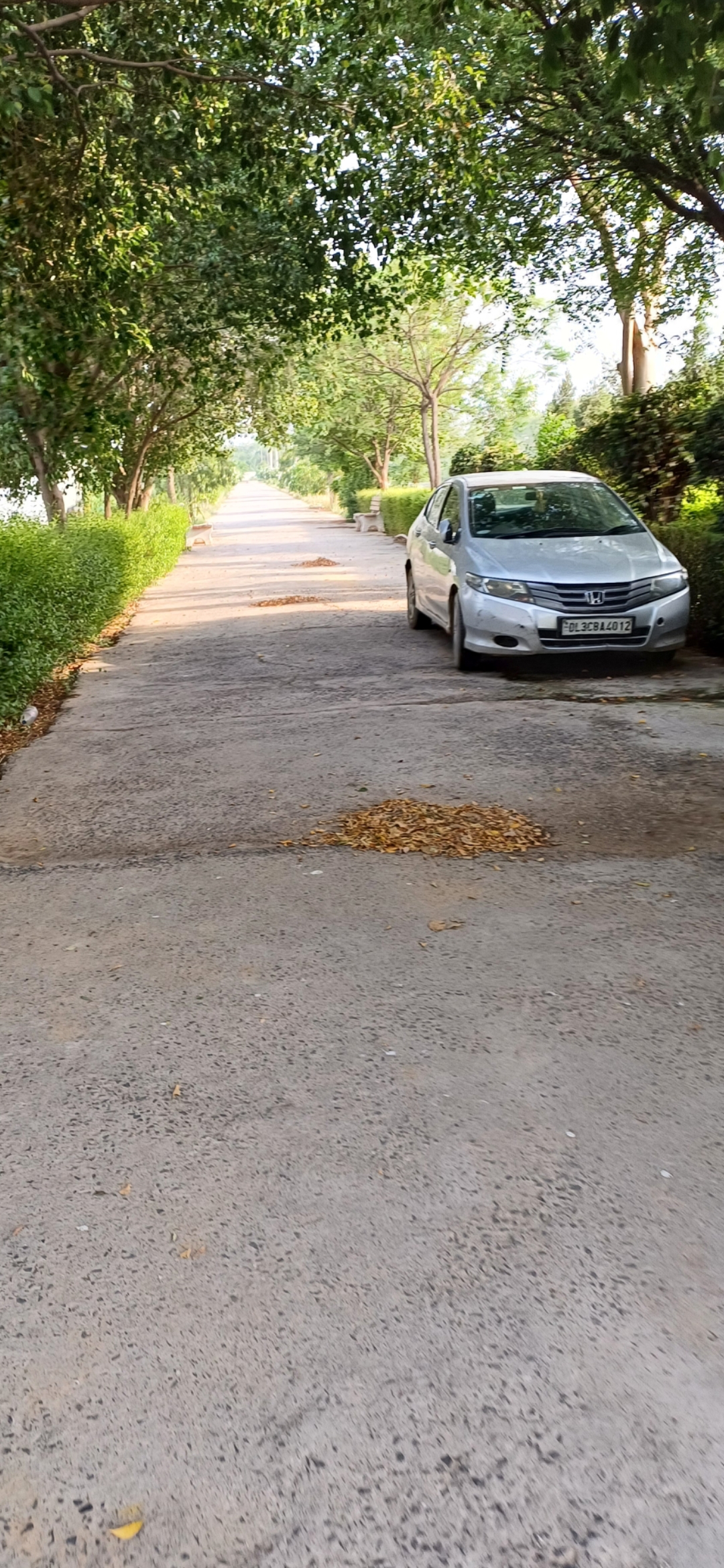 Plot For Sale in Harit City 