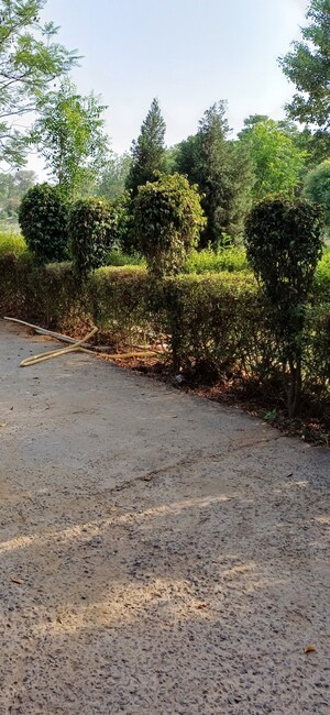 Plot Area in  Plot at Jewar – for Sale