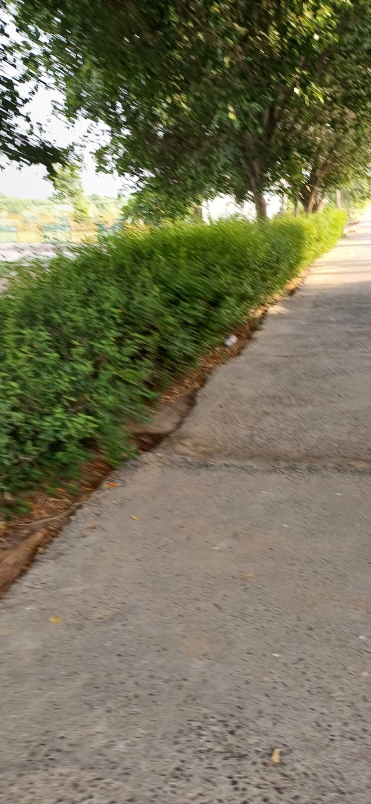 Garden, jewar  190 Sq.Yd. Plot In Jewar Greater Noida 8818849