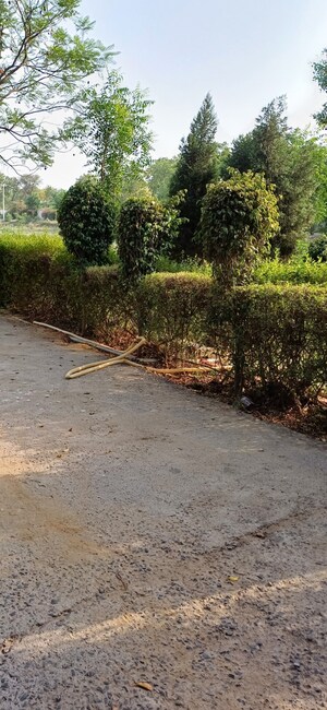 Plot Area in  Plot at Jewar – for Sale