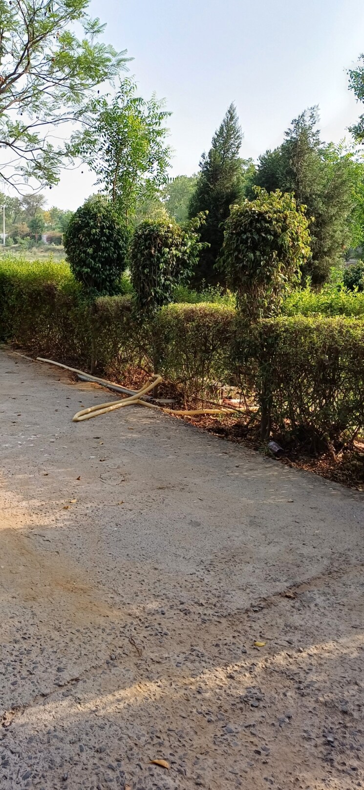 undefined, jewar  190 Sq.Yd. Plot In Jewar Greater Noida 8818849