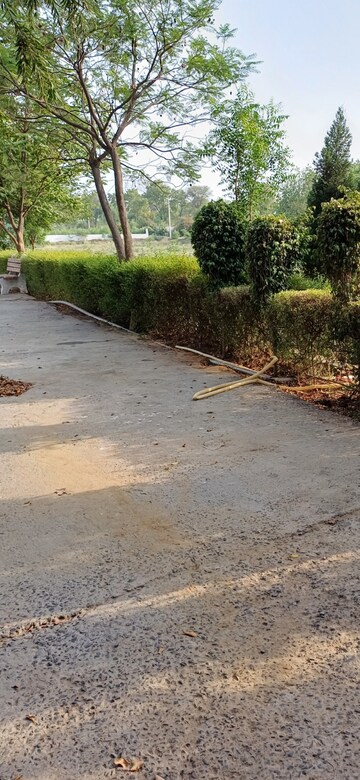 Plot Area in  Plot at Jewar – for Sale