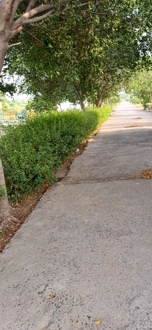  Plot For Sale in Jewar