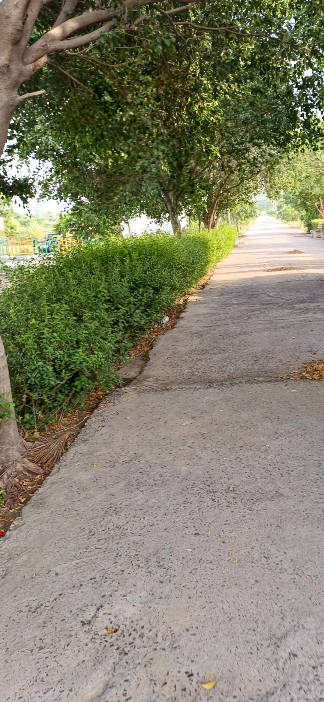 Plot For Sale in Harit City 