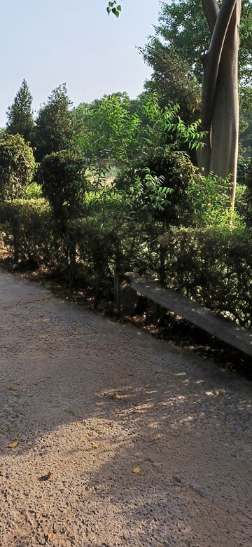 Plot Area in  Plot at Jewar – for Sale