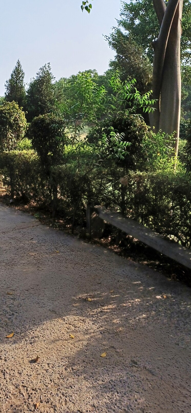 undefined, jewar  191 Sq.Yd. Plot In Jewar Greater Noida 8818875