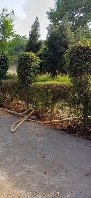  Plot – Garden View at Jewar - for Sale