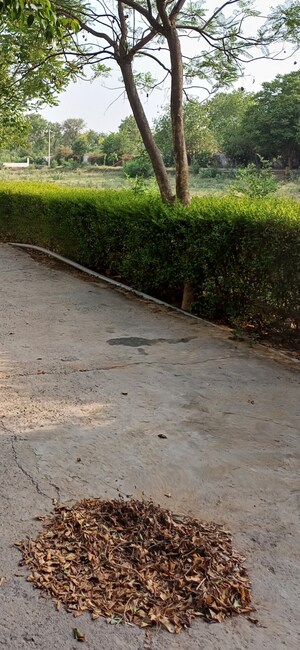 Plot Area in  Plot at Jewar – for Sale