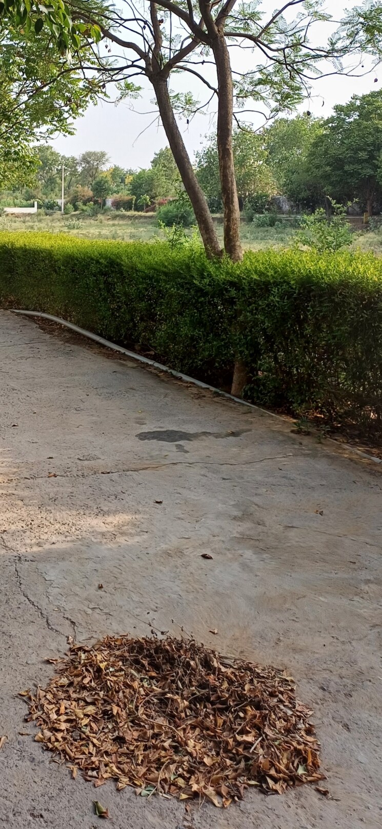 undefined, jewar  192 Sq.Yd. Plot In Jewar Greater Noida 8818891