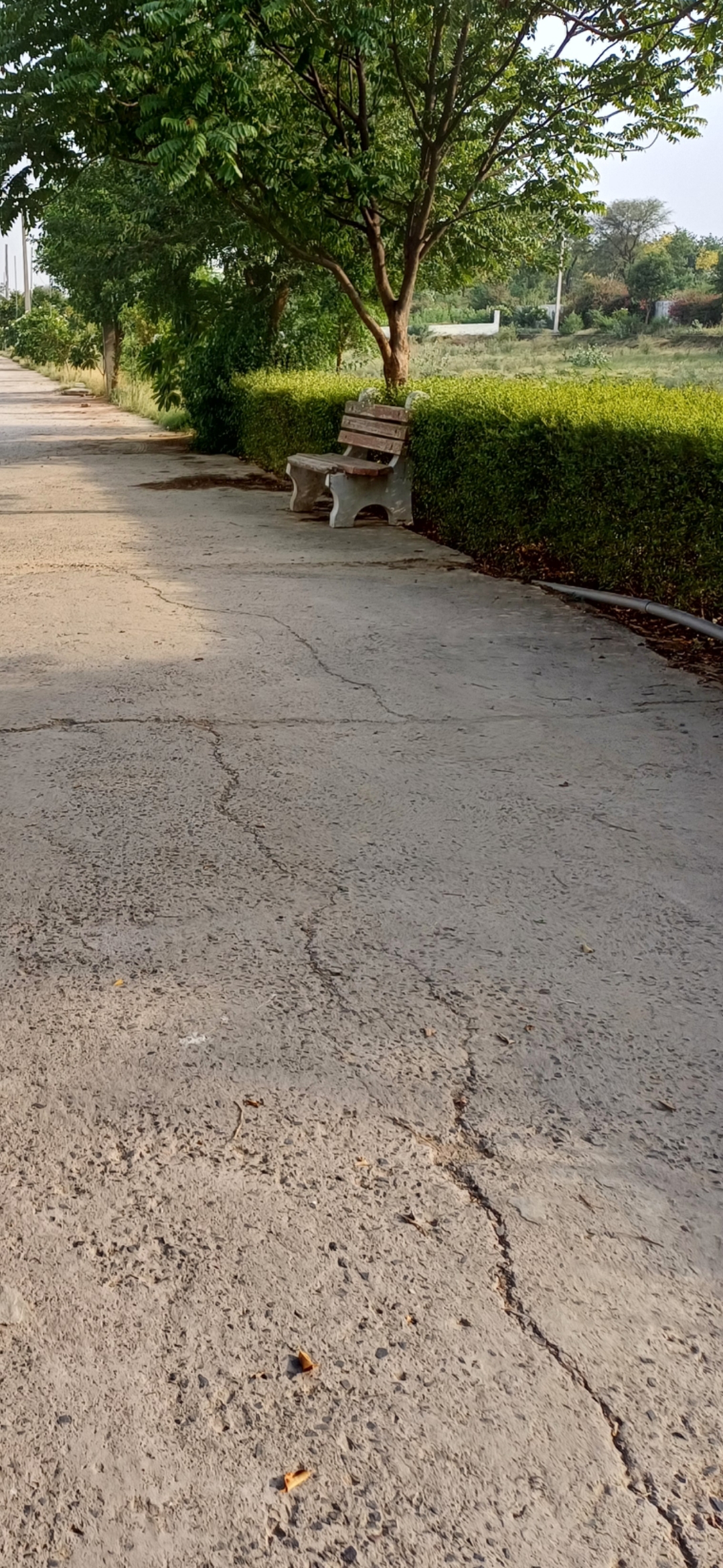 Plot For Sale in Harit City 