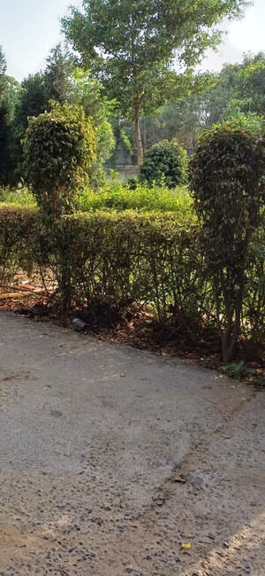 Plot Area in  Plot at Jewar – for Sale