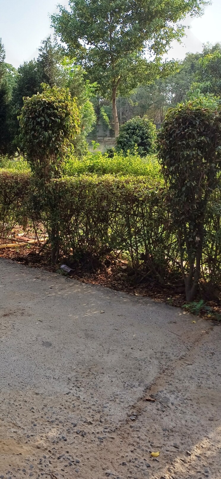 undefined, jewar  192 Sq.Yd. Plot In Jewar Greater Noida 8818891