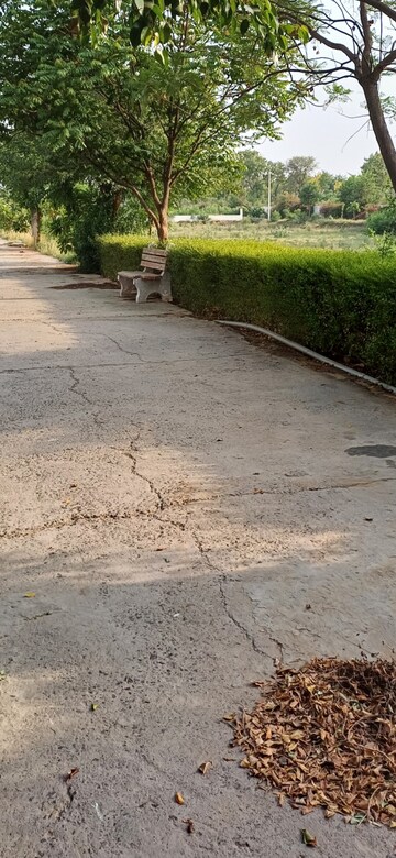Plot Area in  Plot at Jewar – for Sale