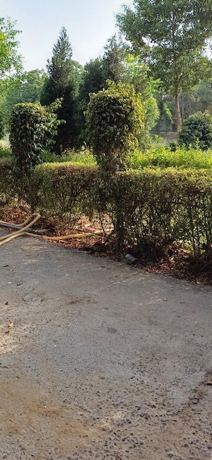 Plot Area in  Plot at Jewar – for Sale