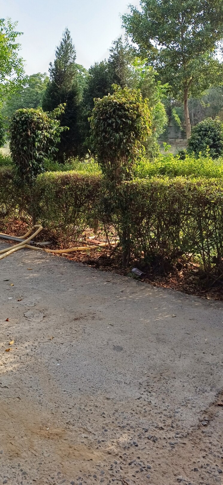 undefined, jewar  193 Sq.Yd. Plot In Jewar Greater Noida 8818910