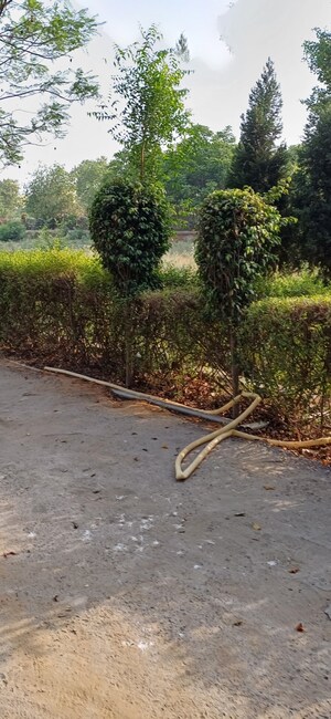  Plot – Garden View at Jewar - for Sale