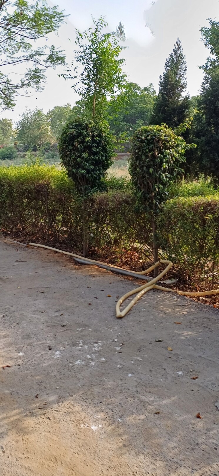 Garden, jewar  193 Sq.Yd. Plot In Jewar Greater Noida 8818910