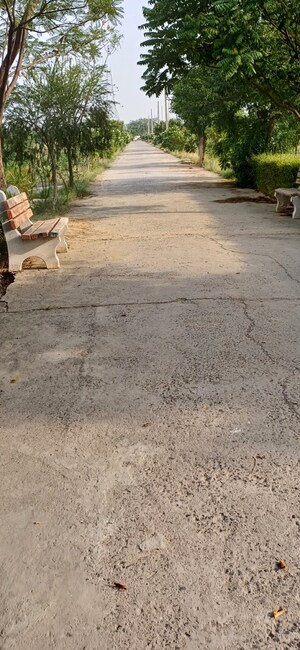  Plot For Sale in Jewar