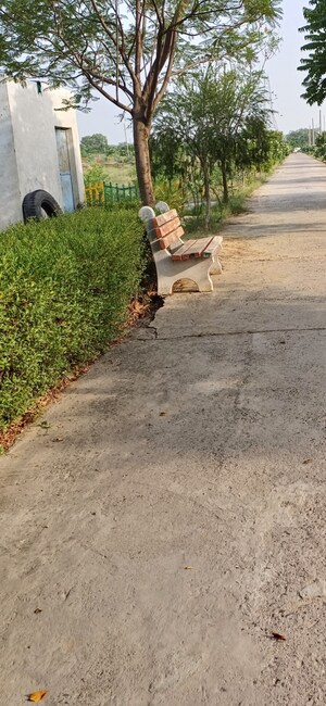  Plot For Sale in Jewar