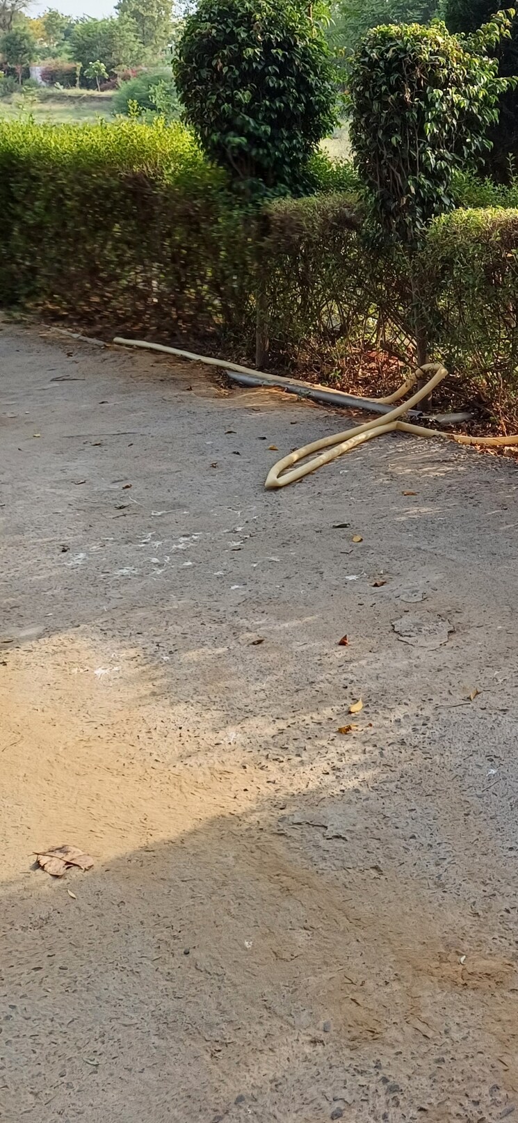 undefined, jewar  194 Sq.Yd. Plot In Jewar Greater Noida 8818927