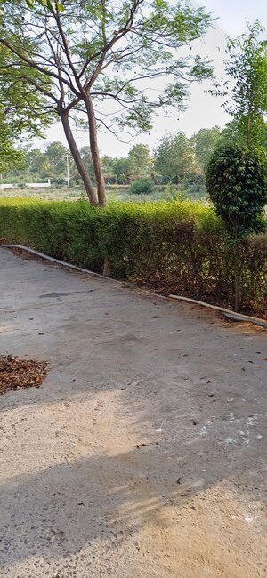 Plot Area in  Plot at Jewar – for Sale