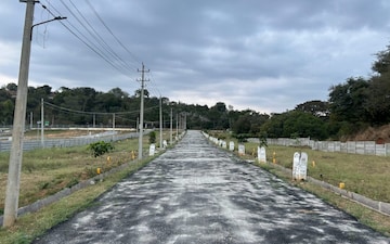 Plot For Sale in Devanahalli