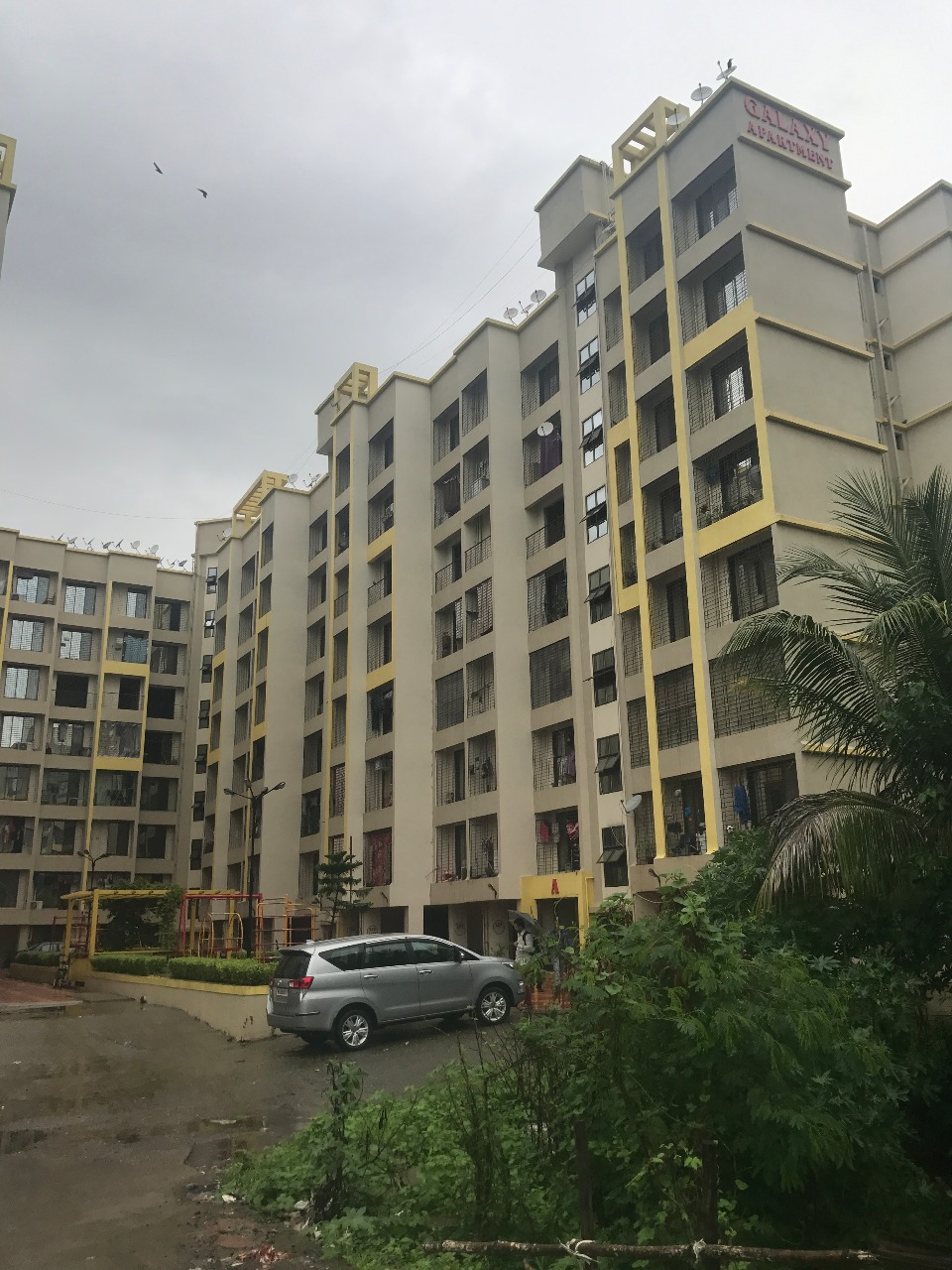 1 BHK Apartment For Rent in Orchid Galaxy Apartments