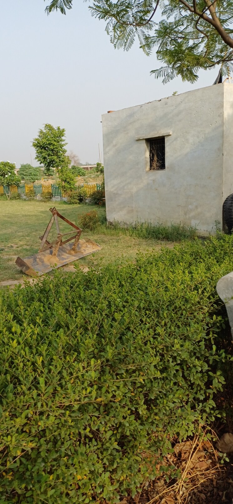 Garden, jewar  196 Sq.Yd. Plot In Jewar Greater Noida 8819439