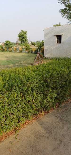  Plot For Sale in Jewar