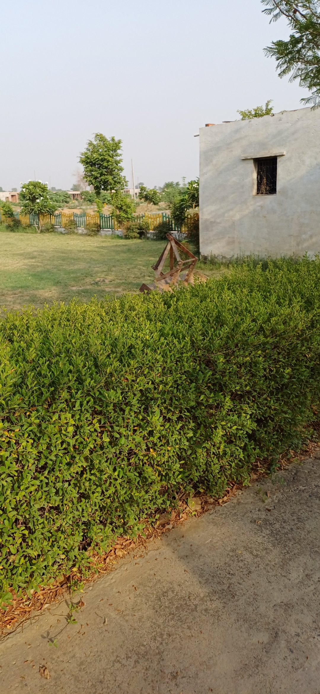 Plot For Sale in Harit City 