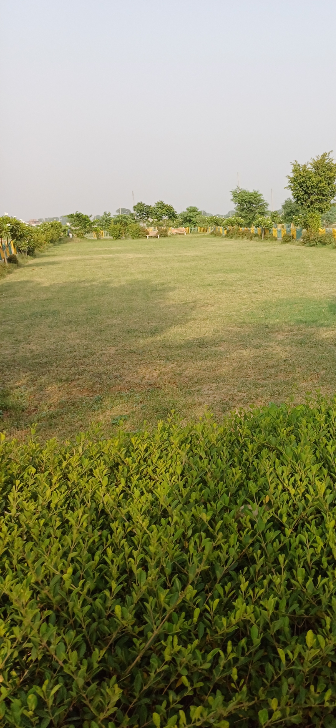 Plot For Sale in Harit City 