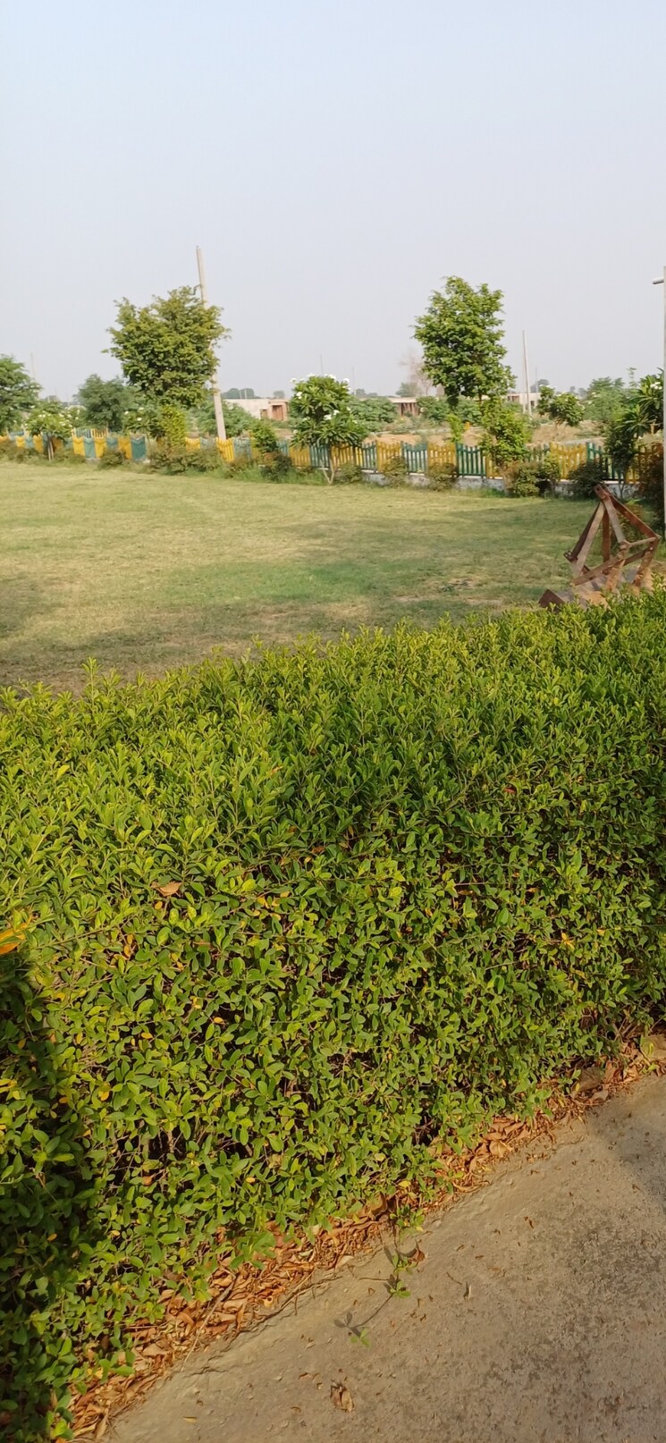 Garden, jewar  197 Sq.Yd. Plot In Jewar Greater Noida 8819453