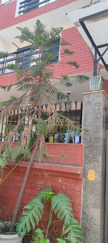 6+ BHK Independent House – Exterior View View at RWA Apartments Sector 61, Sector 61 - for Sale