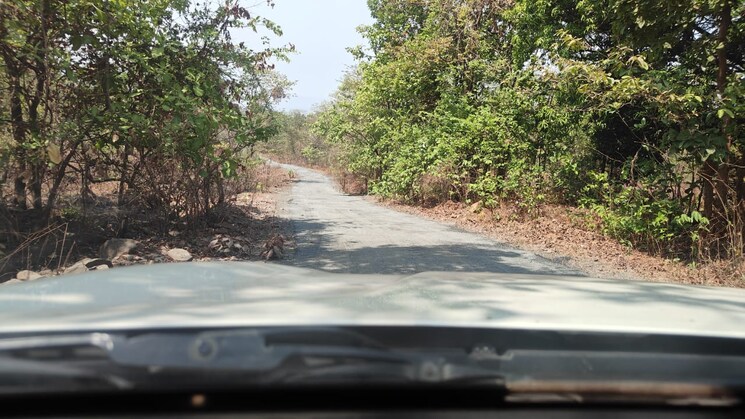 Garden, mahad  19 Acre Plot In Mahad Raigad 8819566