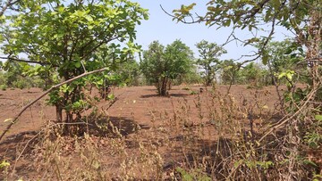  Plot For Sale in Mahad