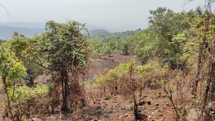 undefined, mahad  19 Acre Plot In Mahad Raigad 8819566