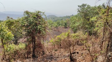 Plot Area in  Plot at Mahad – for Sale