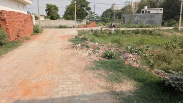 Plot Area in  Plot at Sector 132 – for Sale