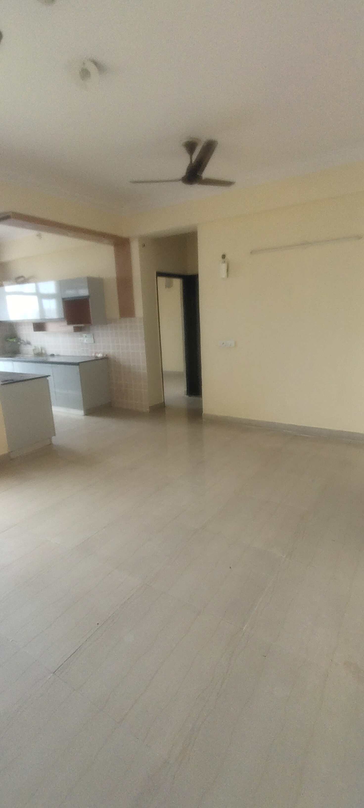 2 BHK + Study Room Apartment For Rent in Saviour Greenisle