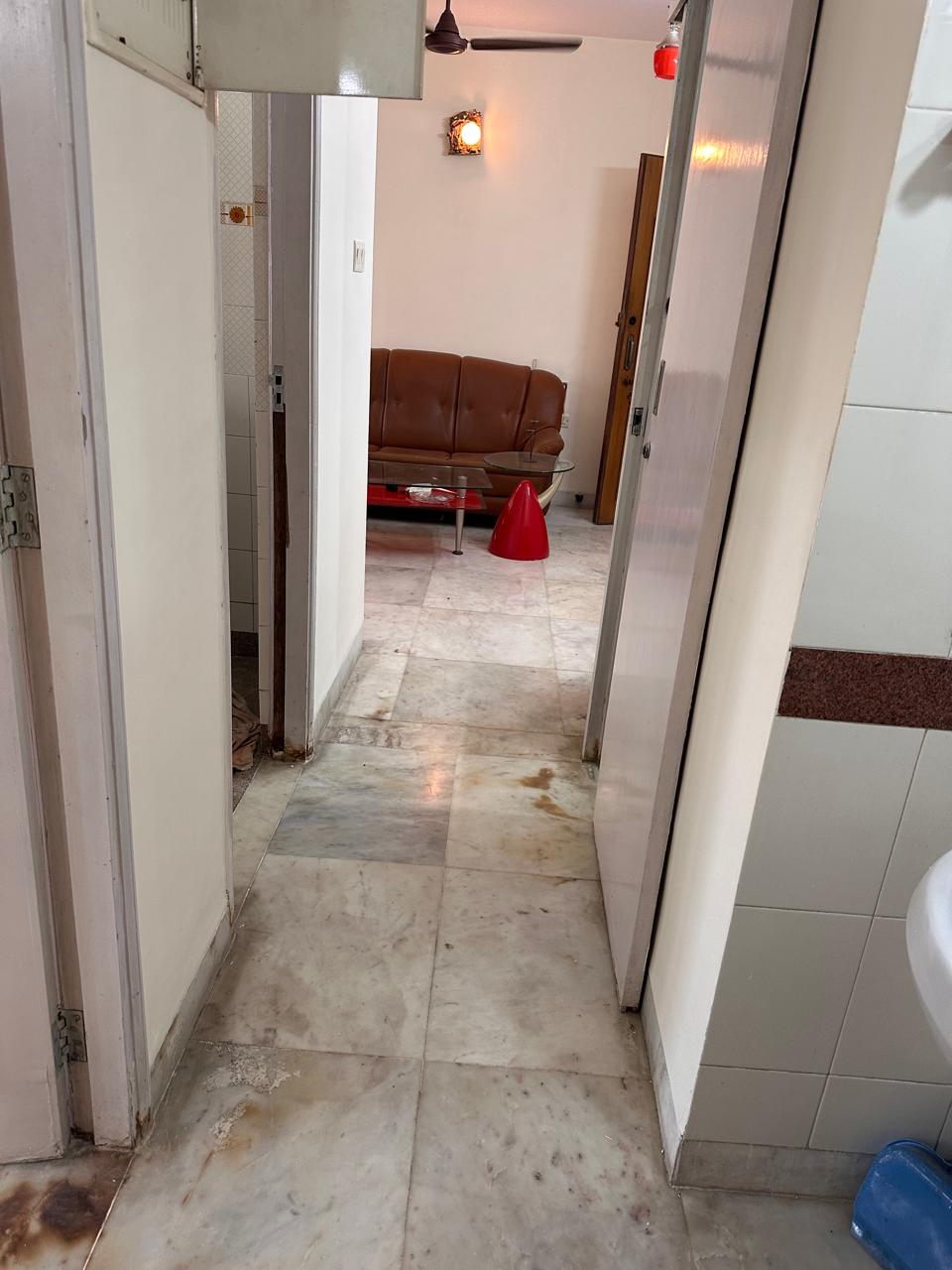 1 BHK Apartment For Rent in Kalpataru Shravasti