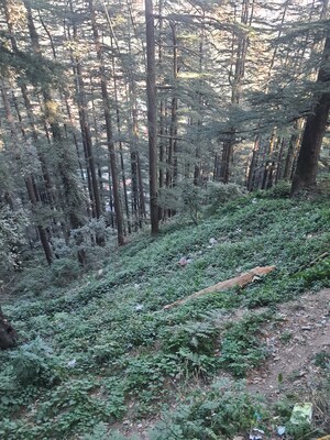 3 BHK Apartment – Exterior View View at Mehli - for Sale