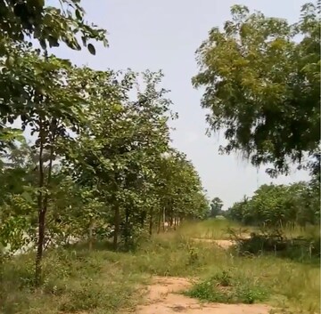  Plot For Sale in Bhongiri Warangal Highway