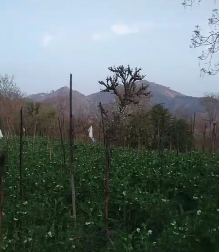 undefined, kandaghat  7200 Sq.Ft. Plot In Kandaghat Solan 8820522