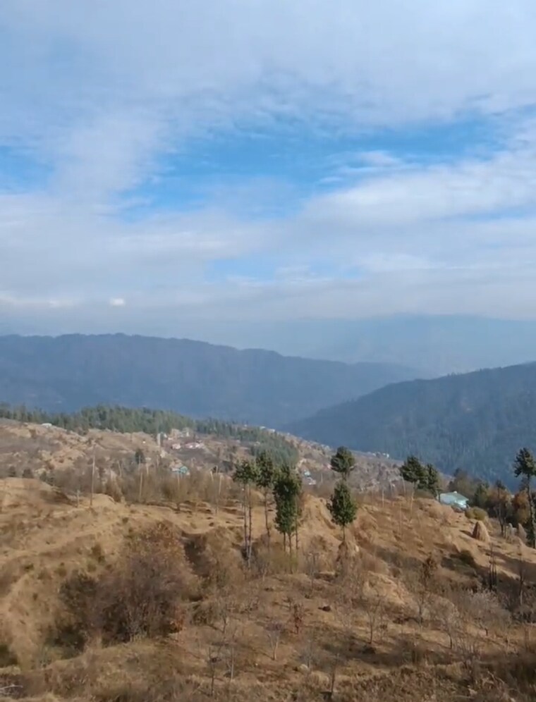 undefined, thoeg  12000 Sq.Ft. Plot In Thoeg Shimla 8820545