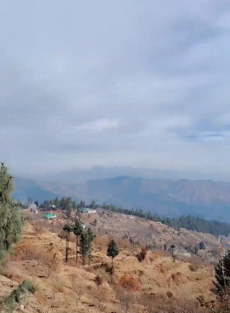 undefined, thoeg  12000 Sq.Ft. Plot In Thoeg Shimla 8820545