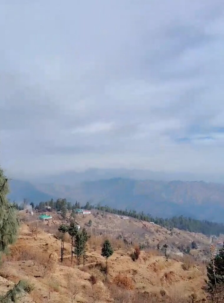 undefined, thoeg  12000 Sq.Ft. Plot In Thoeg Shimla 8820545