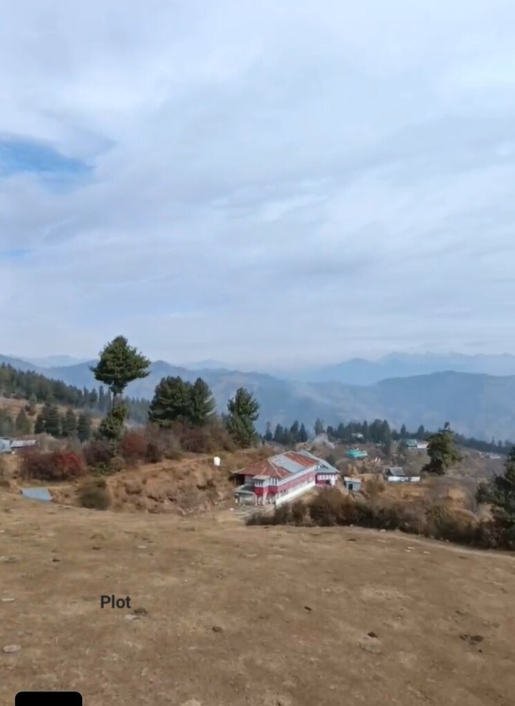 undefined, thoeg  12000 Sq.Ft. Plot In Thoeg Shimla 8820545