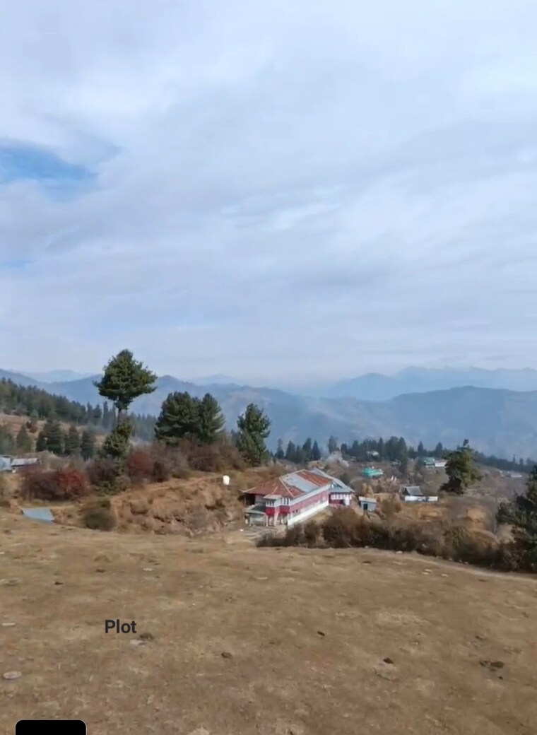 undefined, thoeg  12000 Sq.Ft. Plot In Thoeg Shimla 8820545