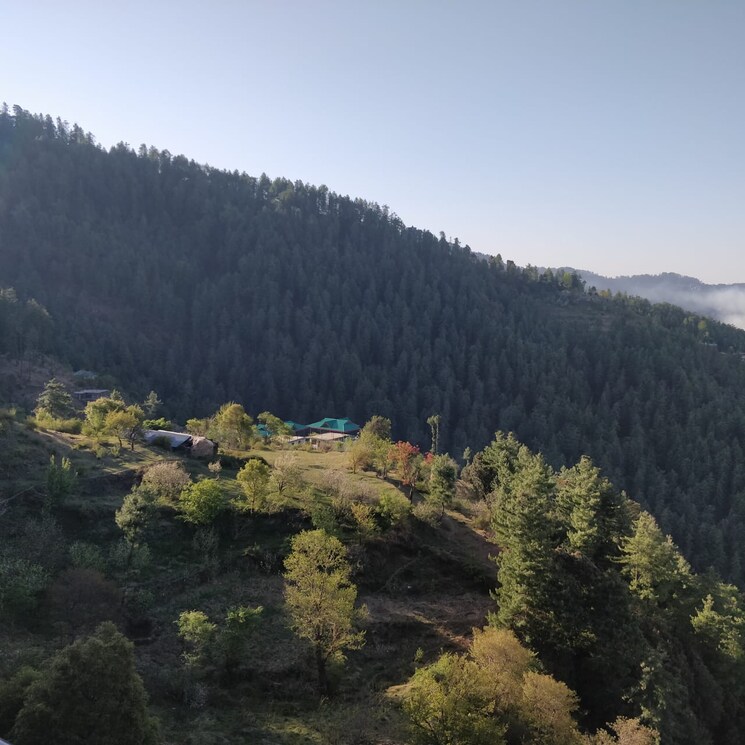 Master Bedroom, mashobra 6+ Bedroom 4500 Sq.Ft. Independent House In Mashobra Shimla 8820581