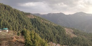 Master Bedroom in 6+ BHK Independent House at Mashobra – for Sale